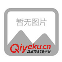 供應(yīng)Rukycon電解電容